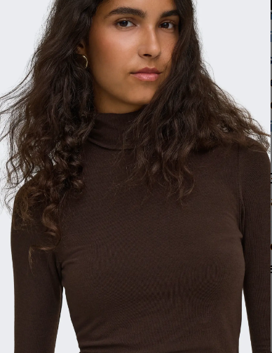 Only Glamour Roll-Neck - Brown